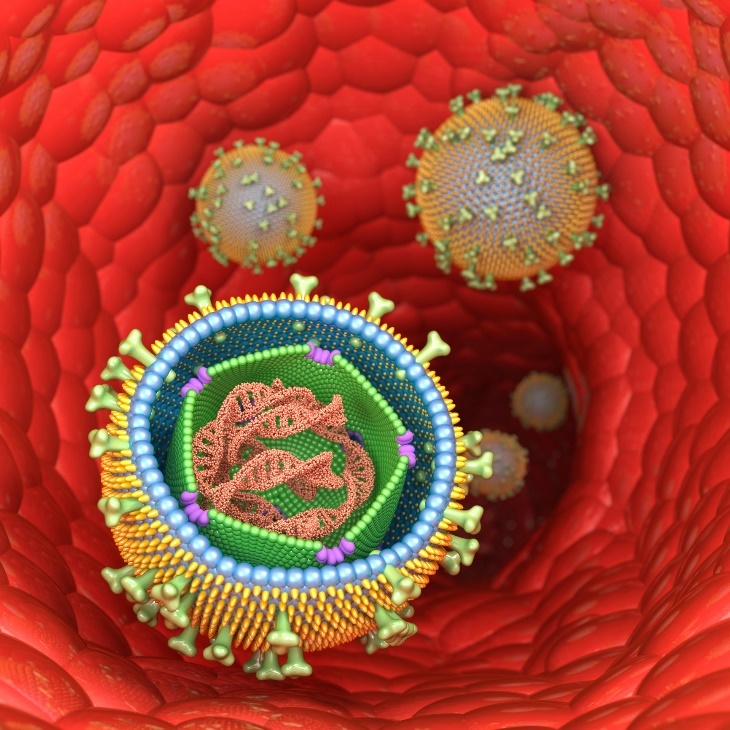 3D-Darstellung der Struktur des Epstein-Barr-Virus (infektiöse Mononukleose) in menschlichen Zellen. Fotoquelle: Getty Images.