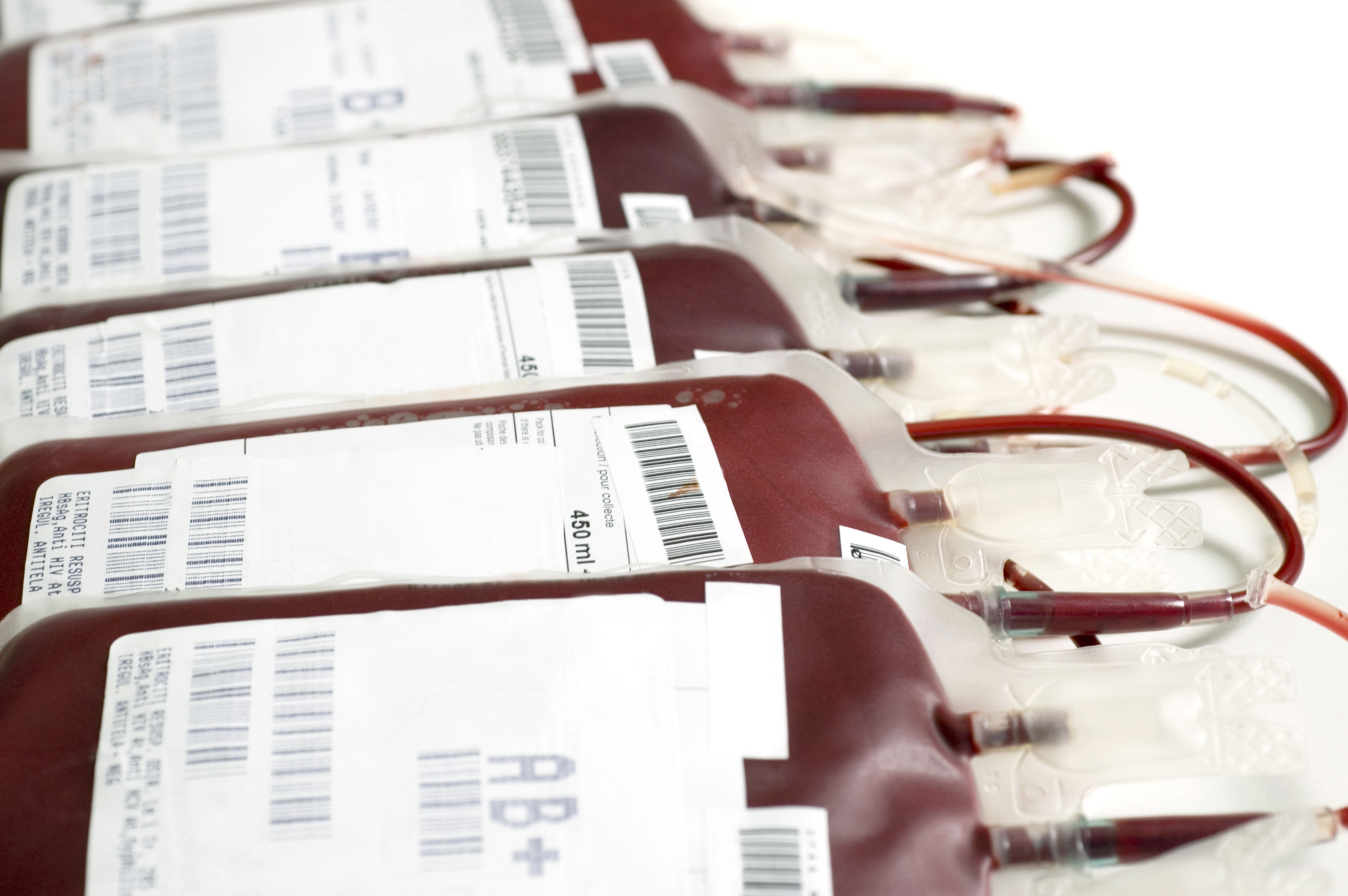Blut für die Transfusion bereit