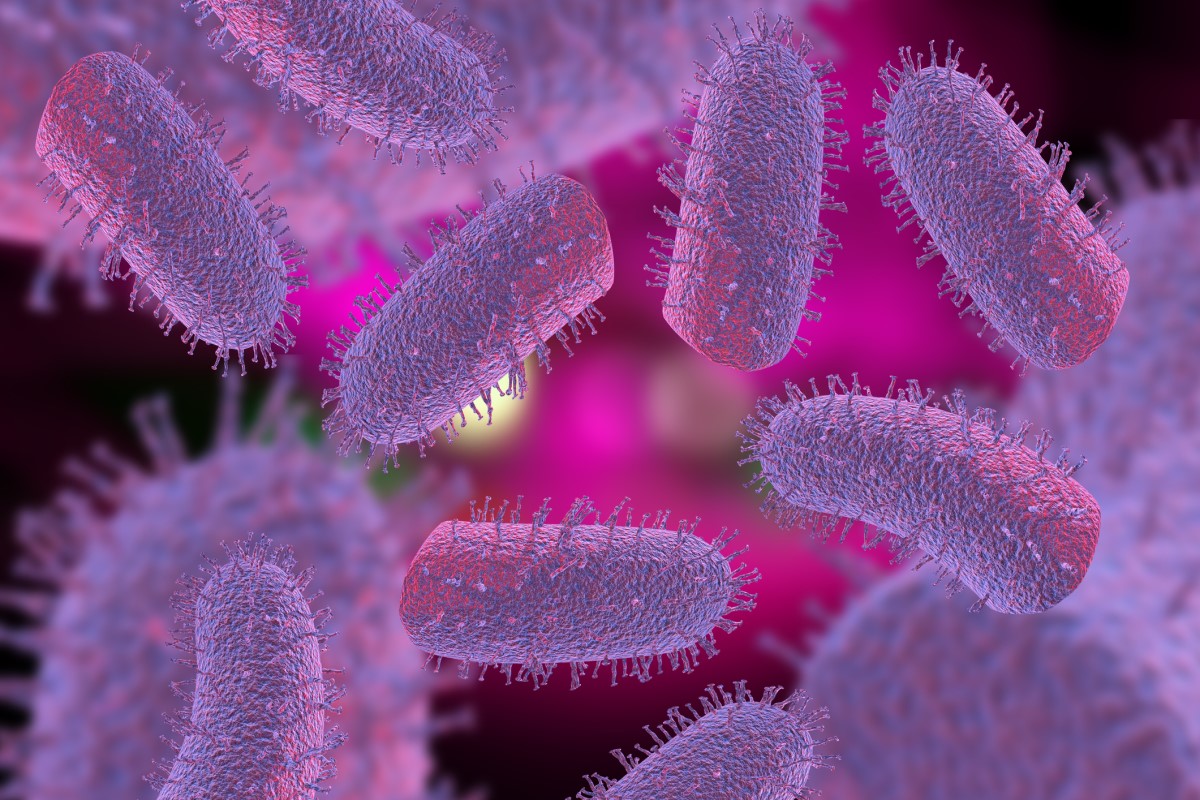 Lyssavirus - Lyssa-Virus - 3D-Darstellung von Tollwutviren