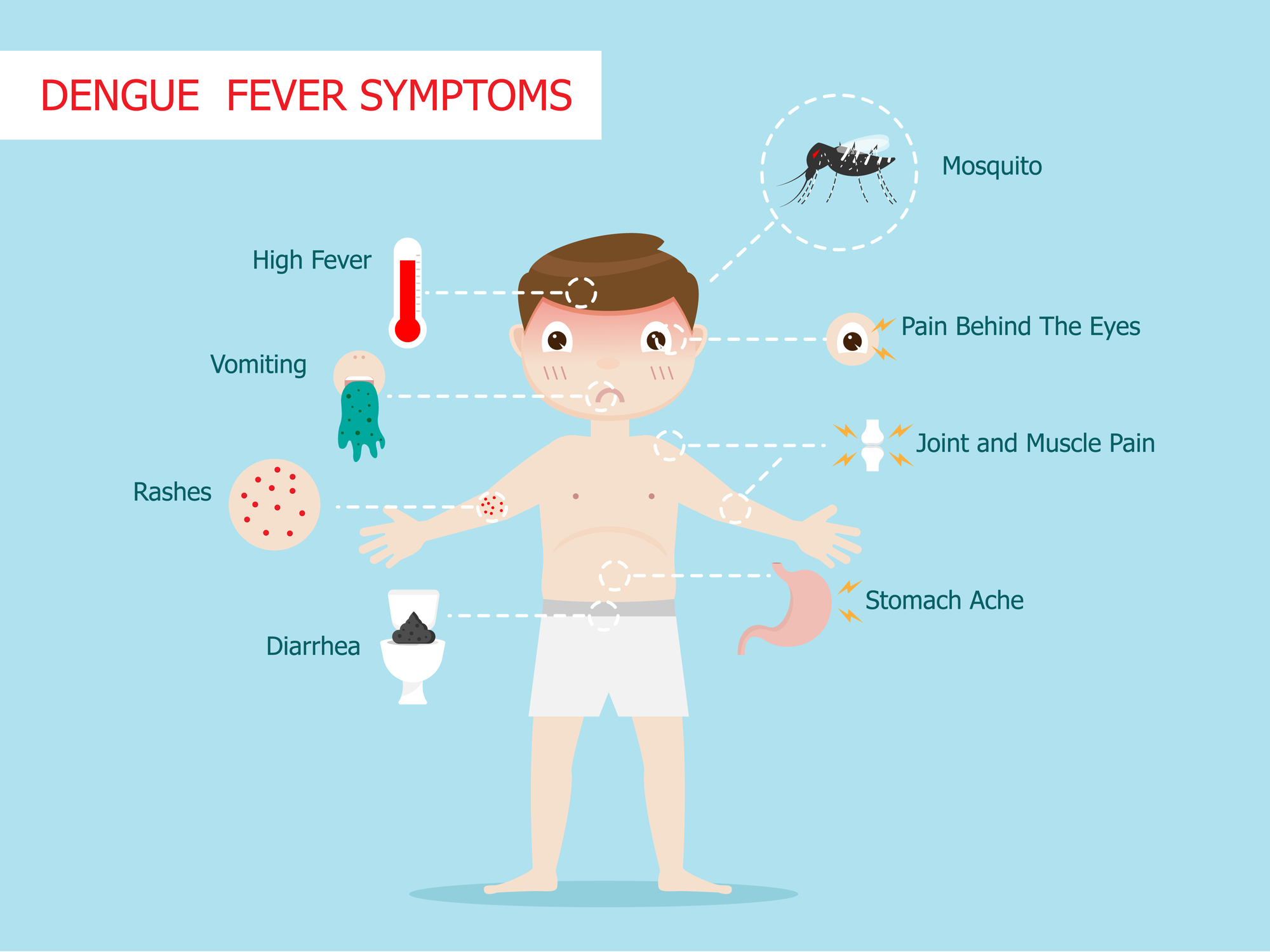 Symptome des Dengue-Fiebers