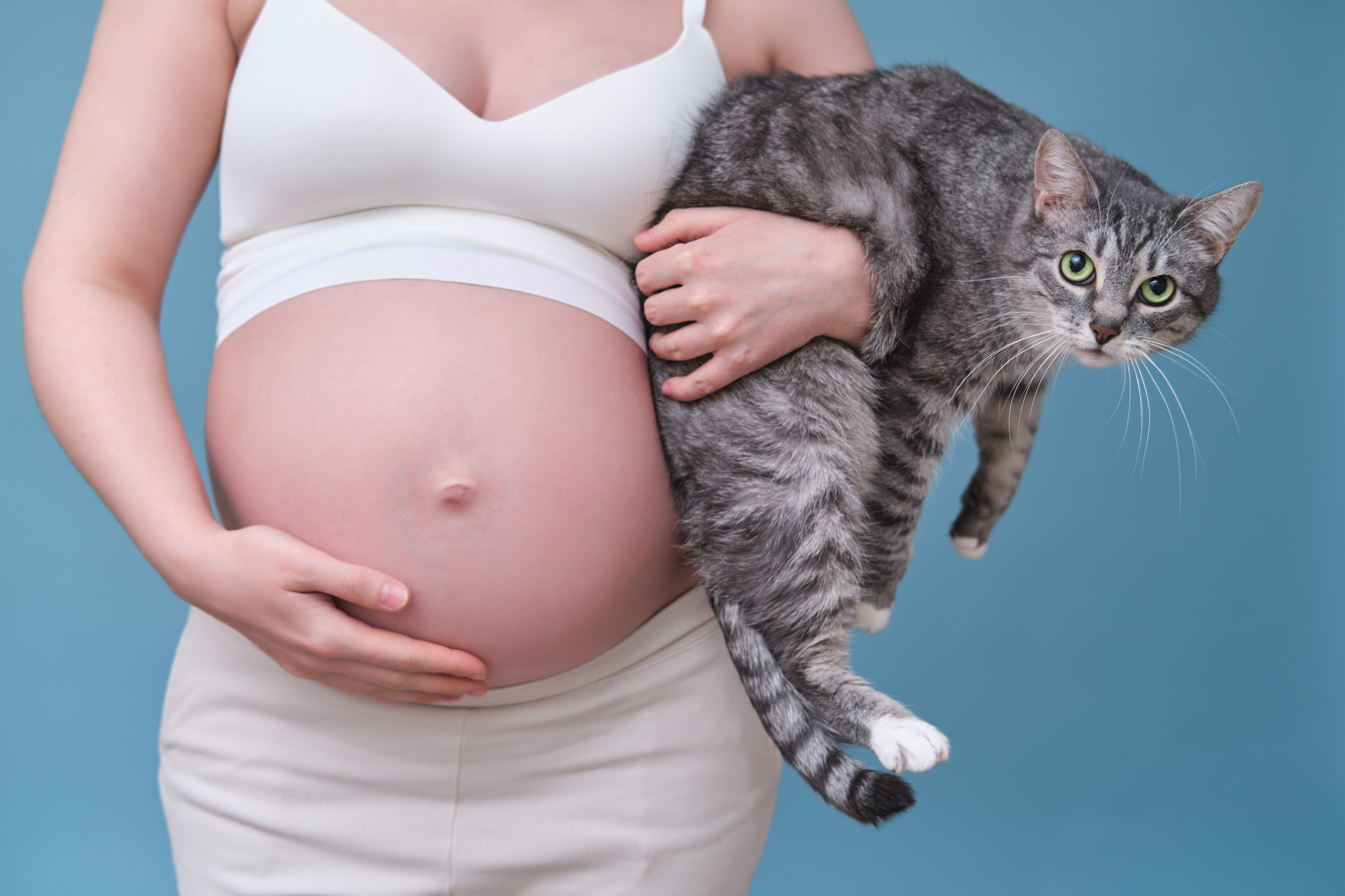 Schwangere Frau hält eine Katze