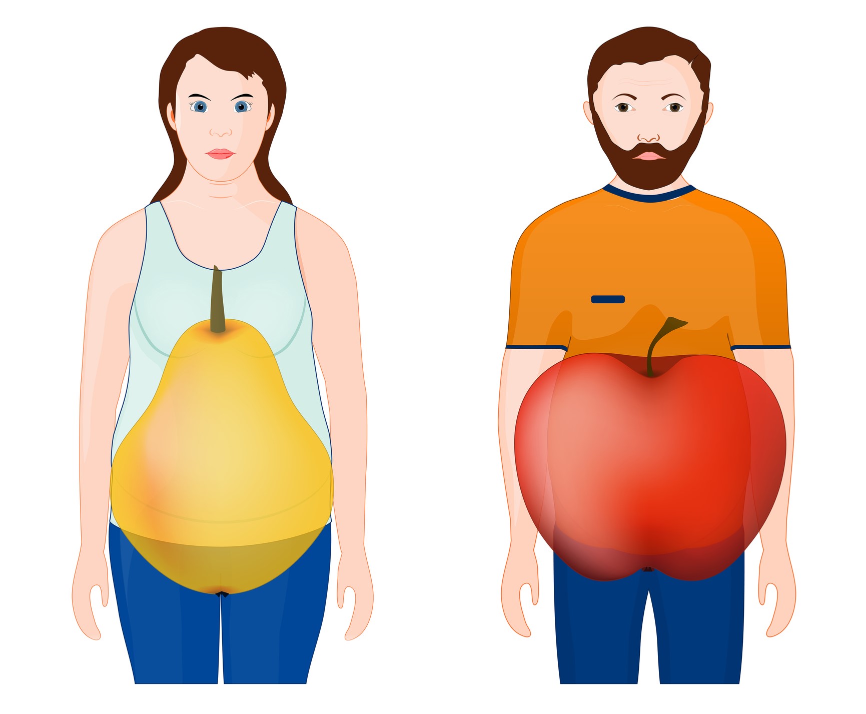 Animation, die die Form des Körpers zeigt - Frau, Birne, Mann, Apfel
