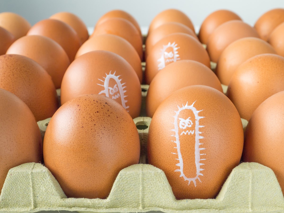 Auf ein Ei gezeichnete Salmonellen, Eierverpackungen.