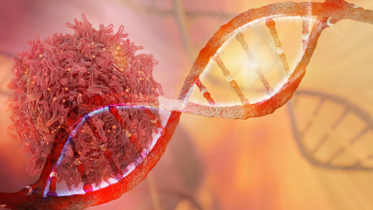 Tumorzelle an der DNA