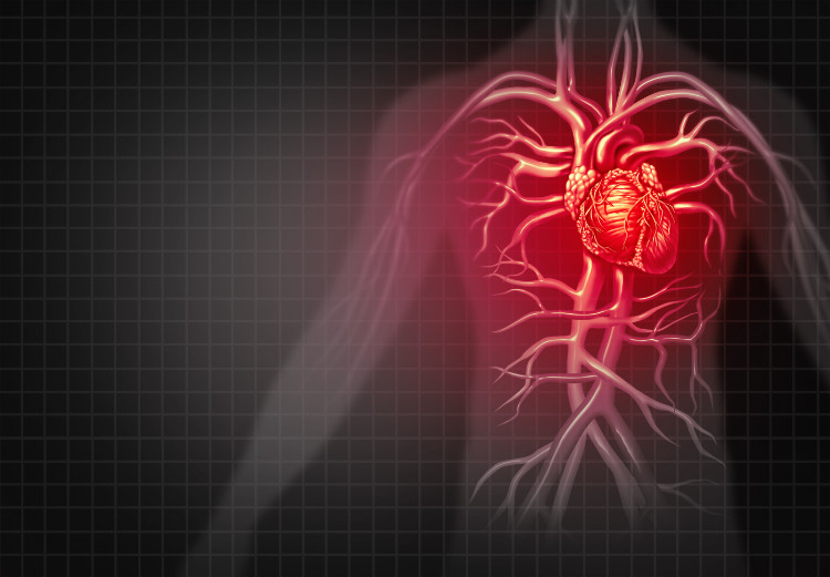 rote Silhouette eines Mannes mit anatomischer Darstellung eines Herzens