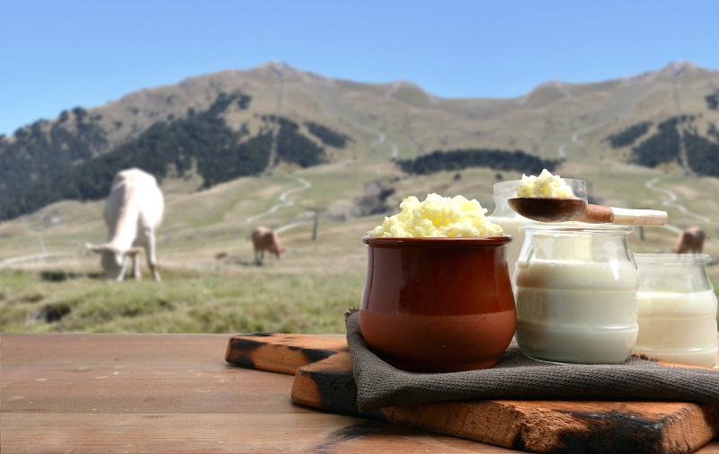 Bryndza und Molkereiprodukte mit Landschaft und Schafen im Hintergrund