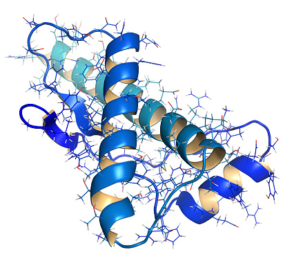 mikroskopische Struktur des Prionproteins