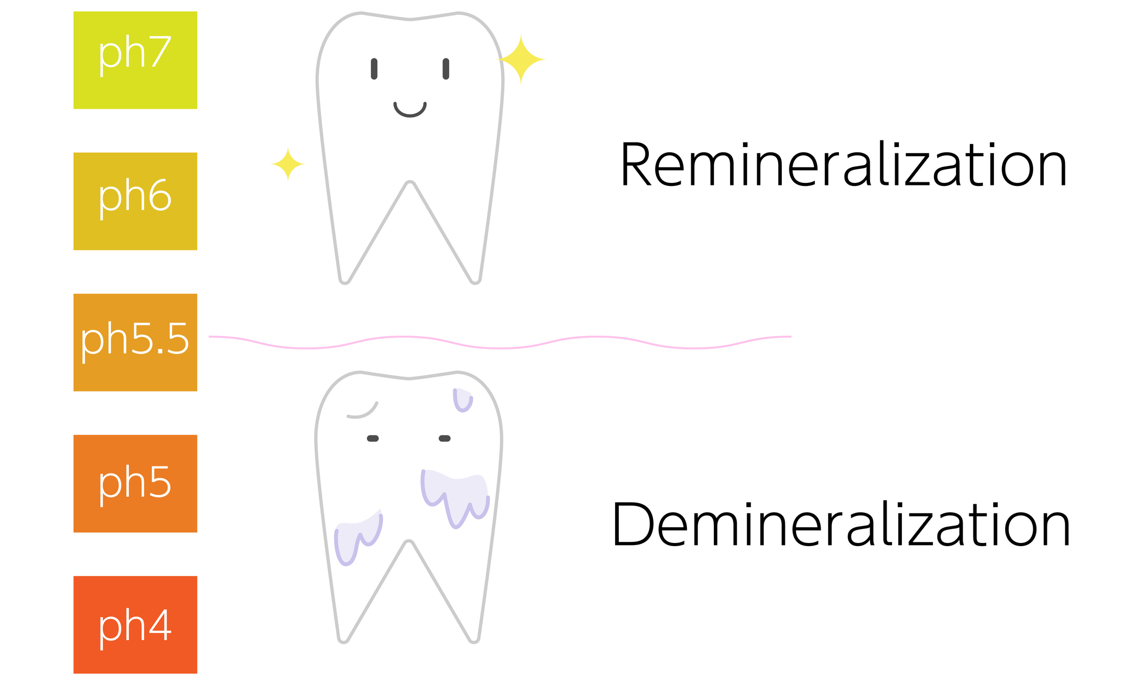 Der kritische pH-Wert des Speichels wird mit 5,5 angegeben. Bei diesem Wert beginnt der Prozess der Demineralisierung des Zahnschmelzes.