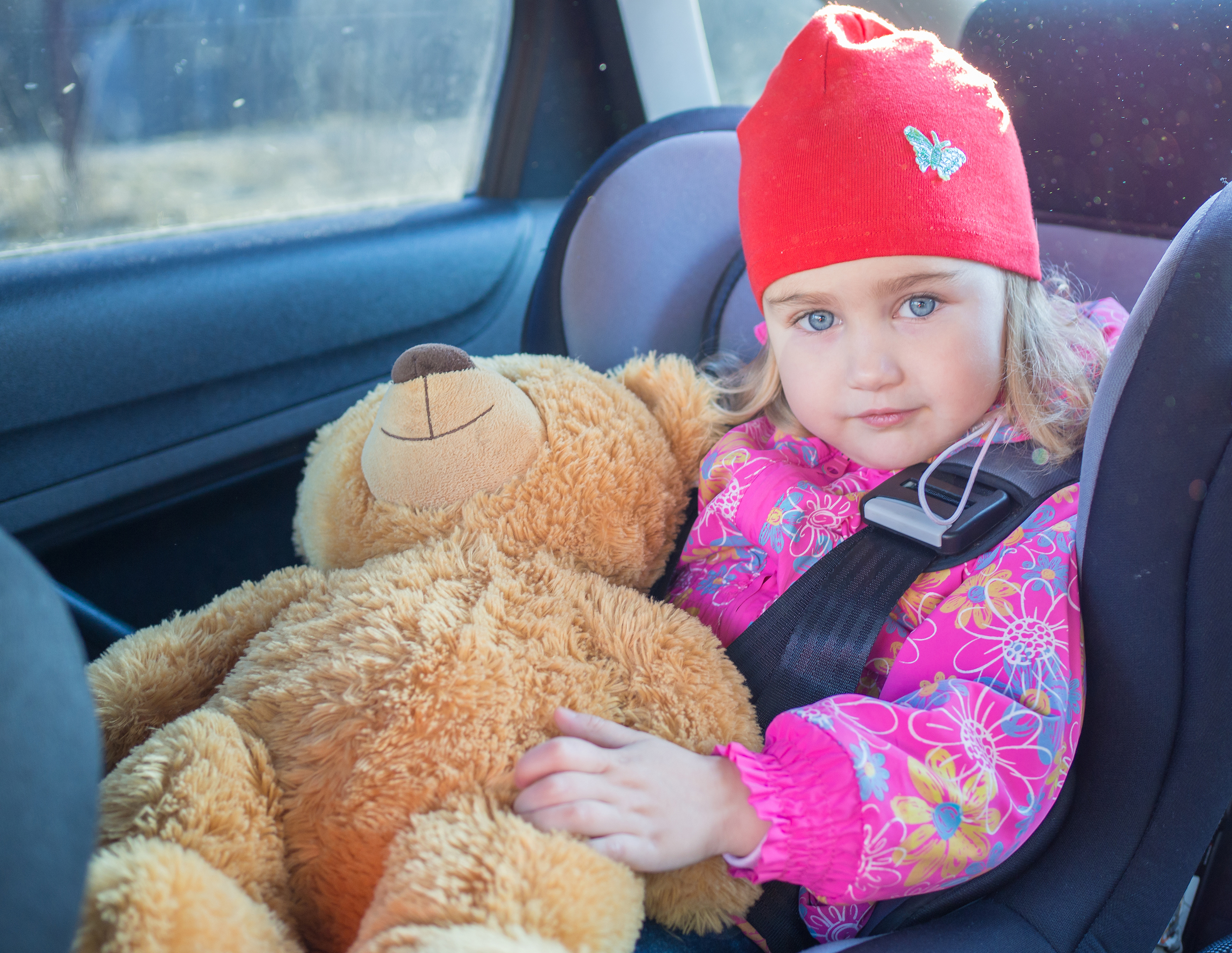 Baby im Autositz, sitzend, schauend, zufriedener Blick, hält Teddybär