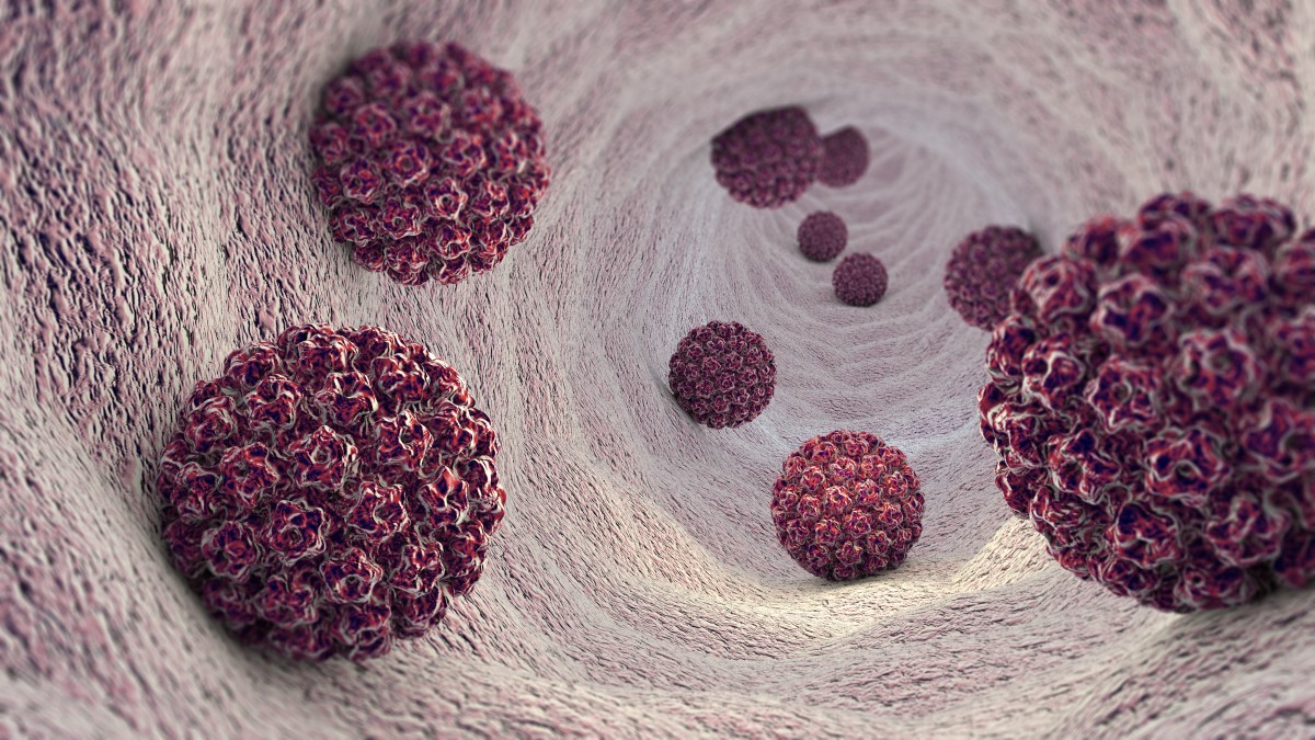 HPV - Humanes Papillomavirus