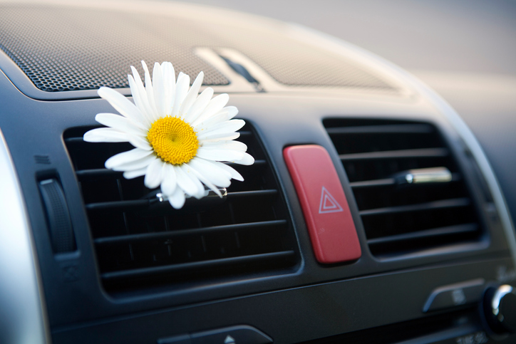 Klimaanlage im Auto, Luftabzug, Blume, angenehmes Aroma, Pflege
