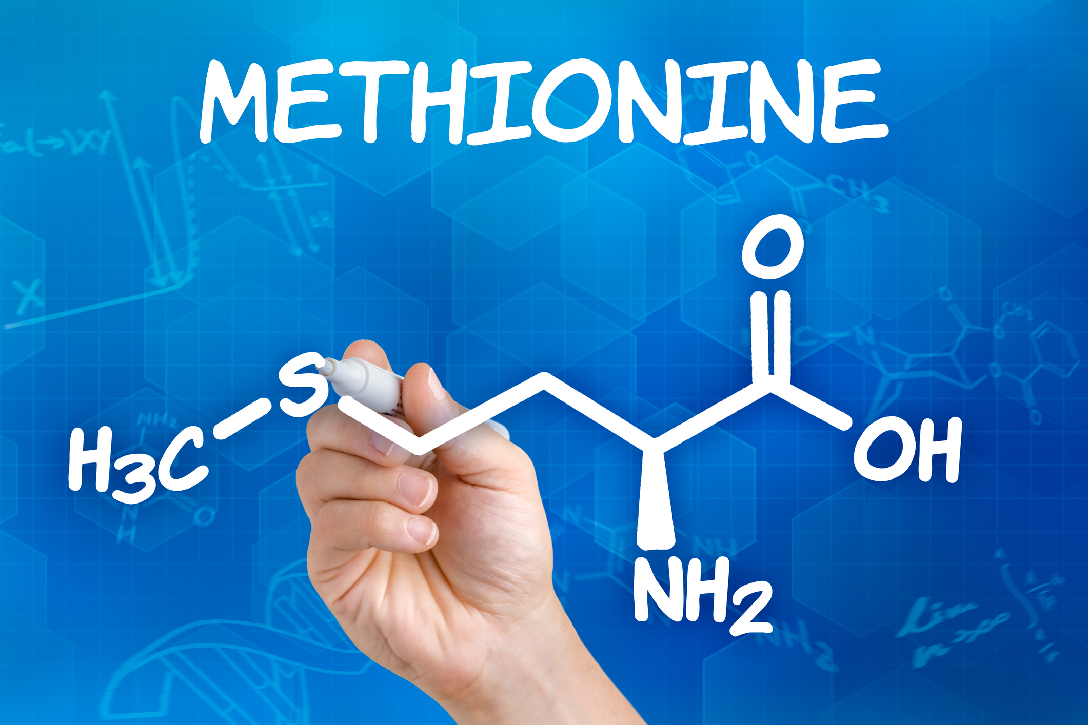Fast der gesamte Schwefel gelangt über zwei Aminosäuren - Methionin oder Cystein - in den Körper.