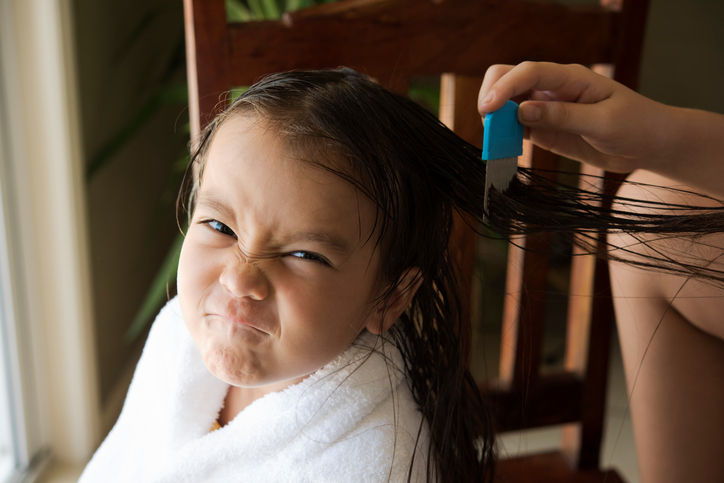 Ein stirnrunzelndes Mädchen, dessen Haare ausgebürstet werden