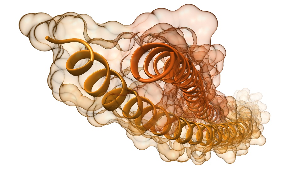 Visualisierung von Keratin-Proteinfilamenten und -Helices