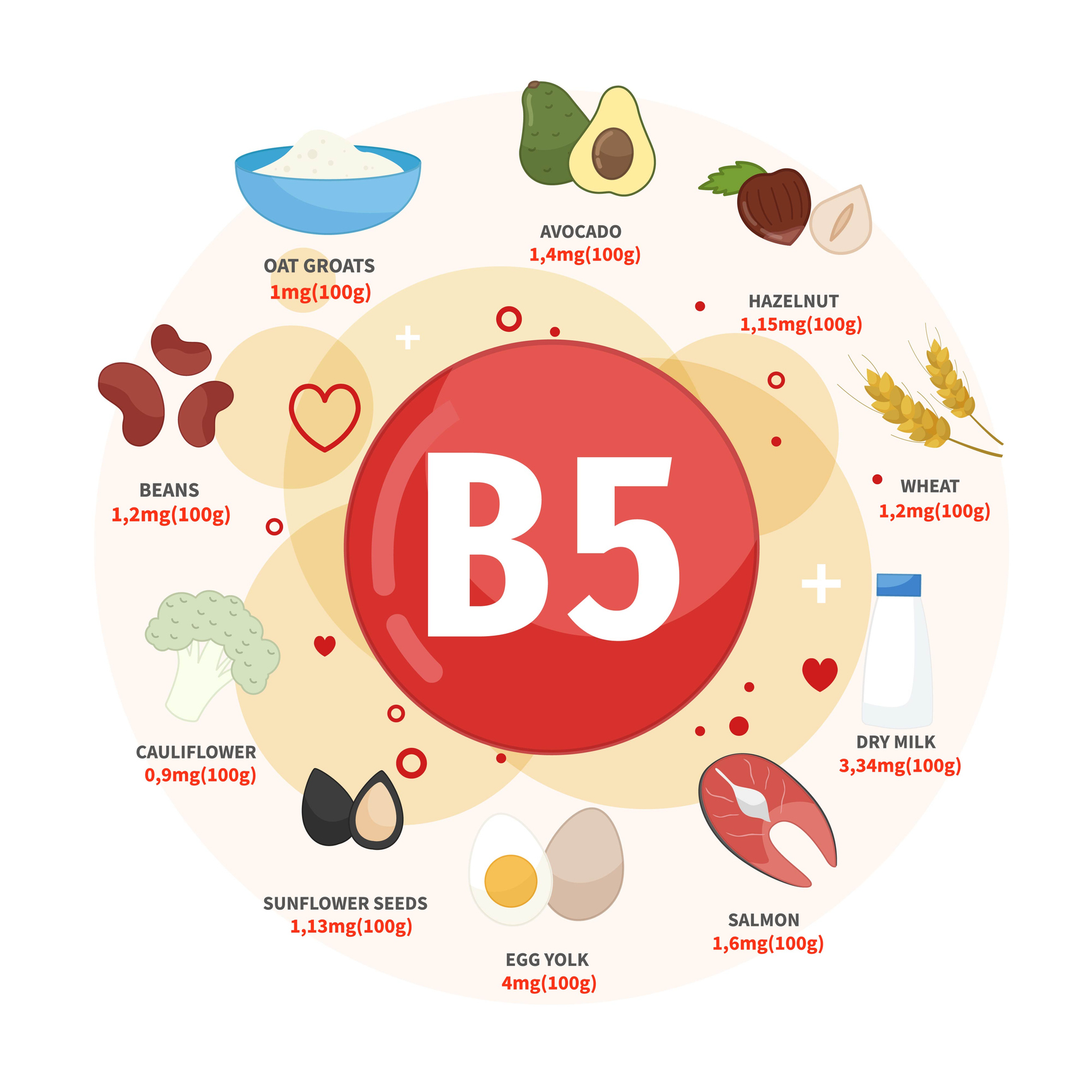 Zu den besten Vitamin-B5-Quellen gehören Avocados, Haselnüsse, Weizen, Milch, Lachs, Eier, Sonnenblumenkerne, Blumenkohl, Bohnen und Haferflocken. 