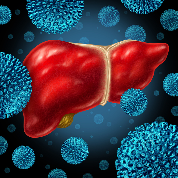 Was Ist Infektiöse Hepatitis Und Wie Wird Sie übertragen (Hepatitis A/B ...