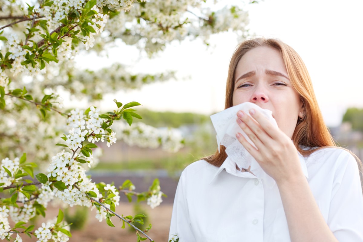 Allergien, die häufiges Niesen und eine laufende Nase verursachen, können zu Nasenbluten führen