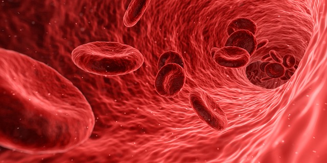 Blut, rote Farbe, rote Blutkörperchen