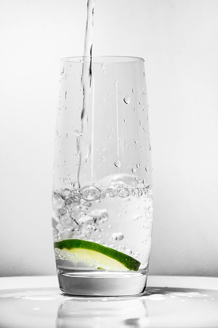 Ein Glas mit Wasser und Limette