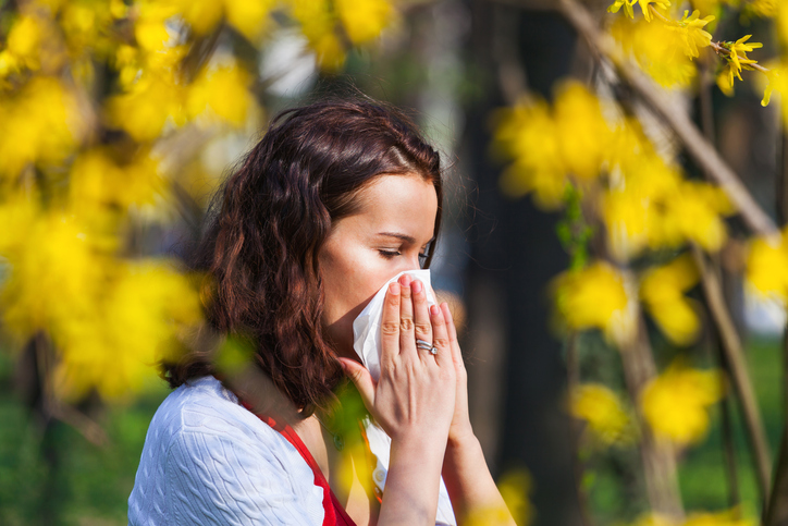 Eine Frau schnäuzt ihre verstopfte Nase bei Heuschnupfen, einer Pollenallergie