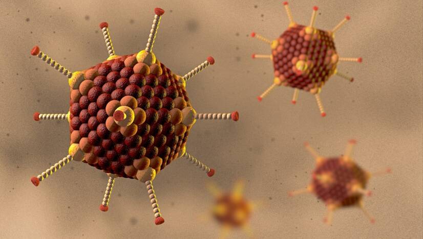 Adenovirus-Infektion: Was ist das Adenovirus, wie wird es übertragen und welche Symptome treten auf?