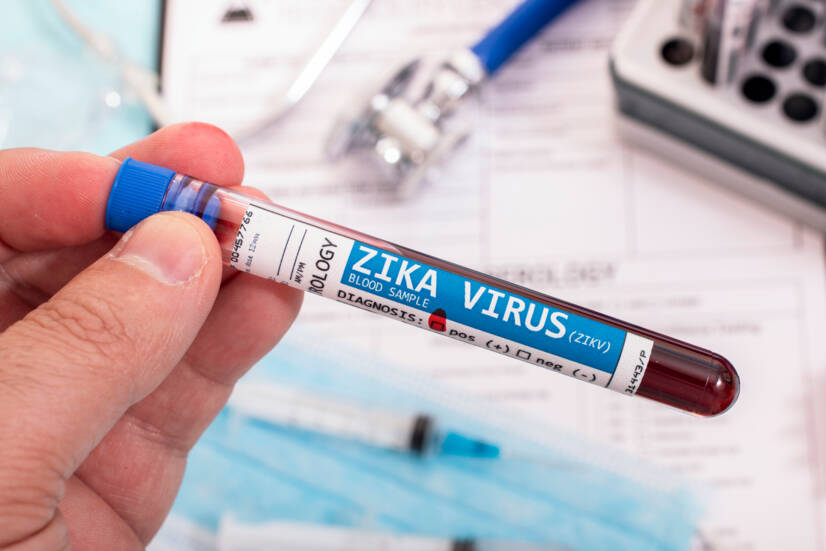 Zika-Virus: Was ist es, wie wird es übertragen und welche Symptome treten auf?