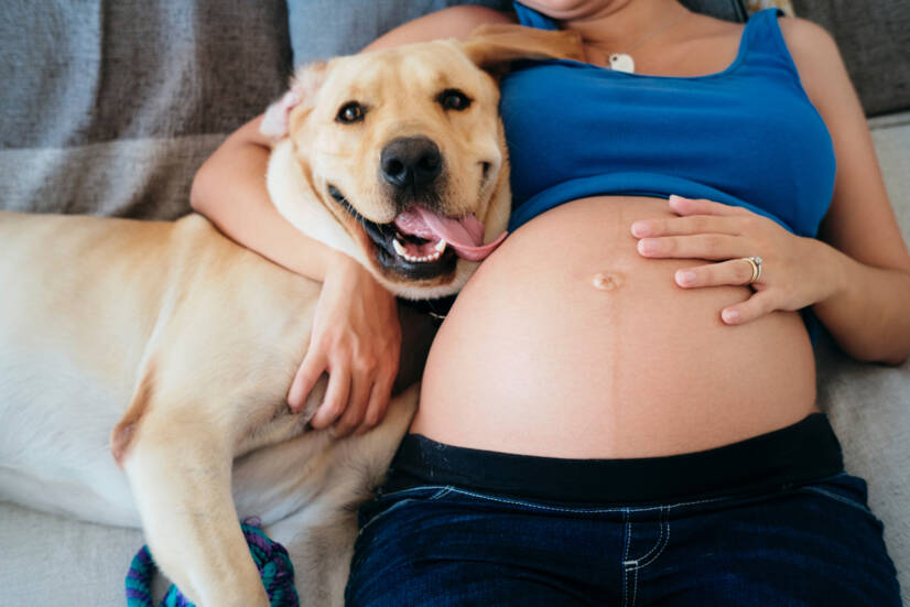Schwangere Frau und Haustiere, Fotoquelle: Getty Images