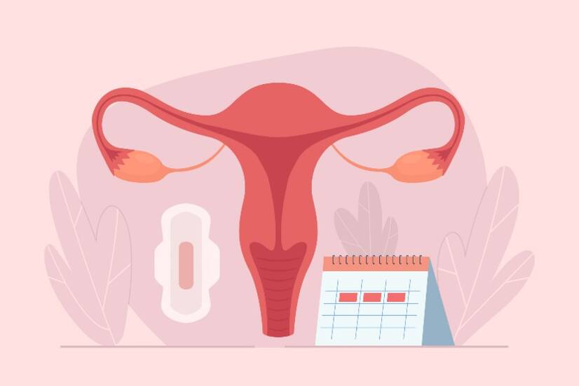 Wie funktioniert der Menstruationszyklus? Zykluslänge und -phasen + Symptome