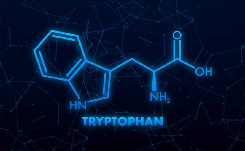 L-Tryptophan und seine Wirkung auf den Körper: Hilft es bei Stimmung und Schlaf?