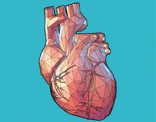 Vergrößerung des Herzens: aus medizinischer Ursache oder durch Sport (Kardiomegalie)?