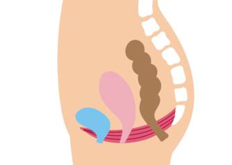 Beckenboden: Funktion und Bedeutung bei Frauen + Übungen zur Stärkung und Entspannung
