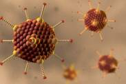 Adenovirus-Infektion: Was ist das Adenovirus, wie wird es übertragen und welche Symptome treten auf?