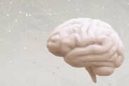 Ödeme - Schwellungen des Gehirns: Ursachen und Symptome + Diagnostik