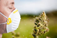 Die Pollensaison schlägt zu: Pollenallergie, Symptome, Behandlung?