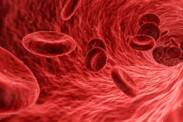 Abbau der roten Blutkörperchen: Was ist Hämolyse und warum tritt sie auf?